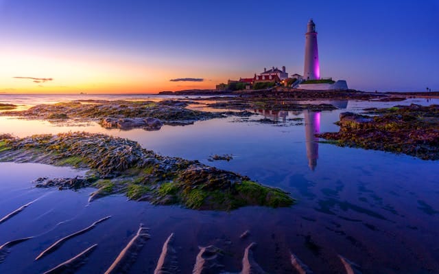 Newsletter: Serene coastal sunset with a tall lighthouse glowing softly, reflected in tranquil tidal pools. The scene features a vivid gradient sky transitioning from gold to deep blue, lush green moss on the rocks, and gentle ripples in the sand — evoking a sense of calm, mindfulness, and inspiration.